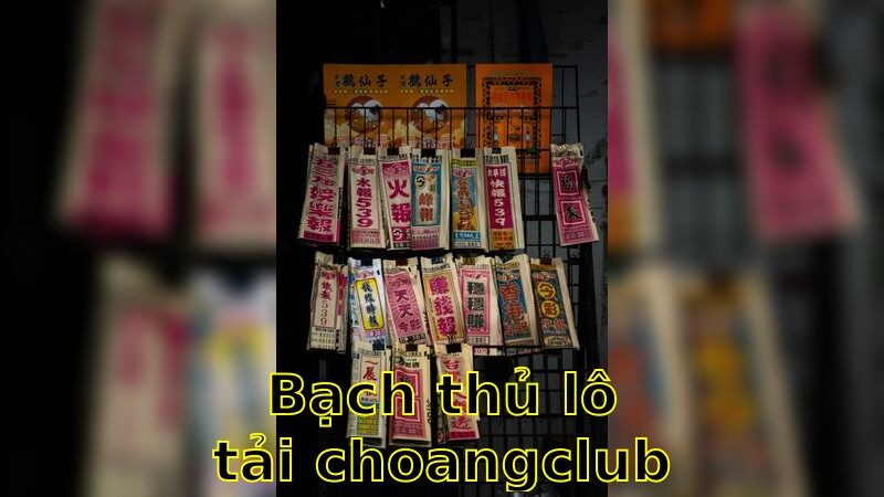 Bí Quyết Bắt Bạch thủ lô Từ Chuyên Gia